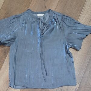 Shimmering Silver Blouse